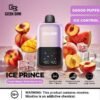 GEEK BAR ICE PRINCE 50000 PUFFS 50MG DISPOSABLE VAPE PEACH MANGO WATERMELON ICE